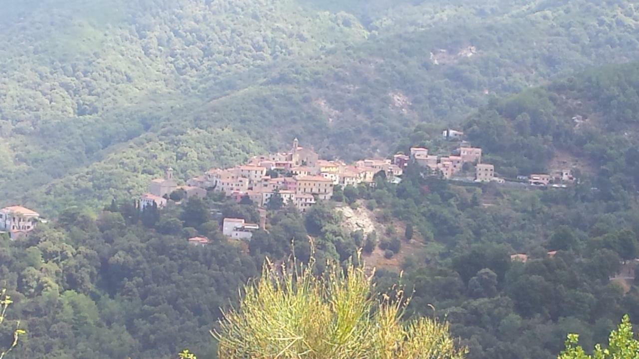 La Casalina Dell'Elba Apartment Marciana  Bagian luar foto